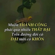 Bịch Bông