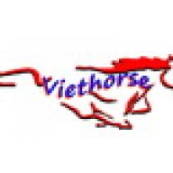 viethorse