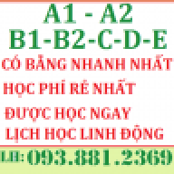 dao tao lai xe