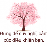 thu hương nguyễn