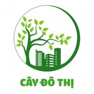 caydothi