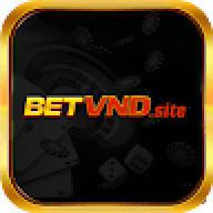 betvndsite