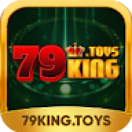 79kingtoys