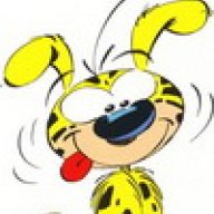 marsupilami