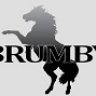 brumby