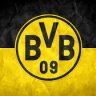 BVB09